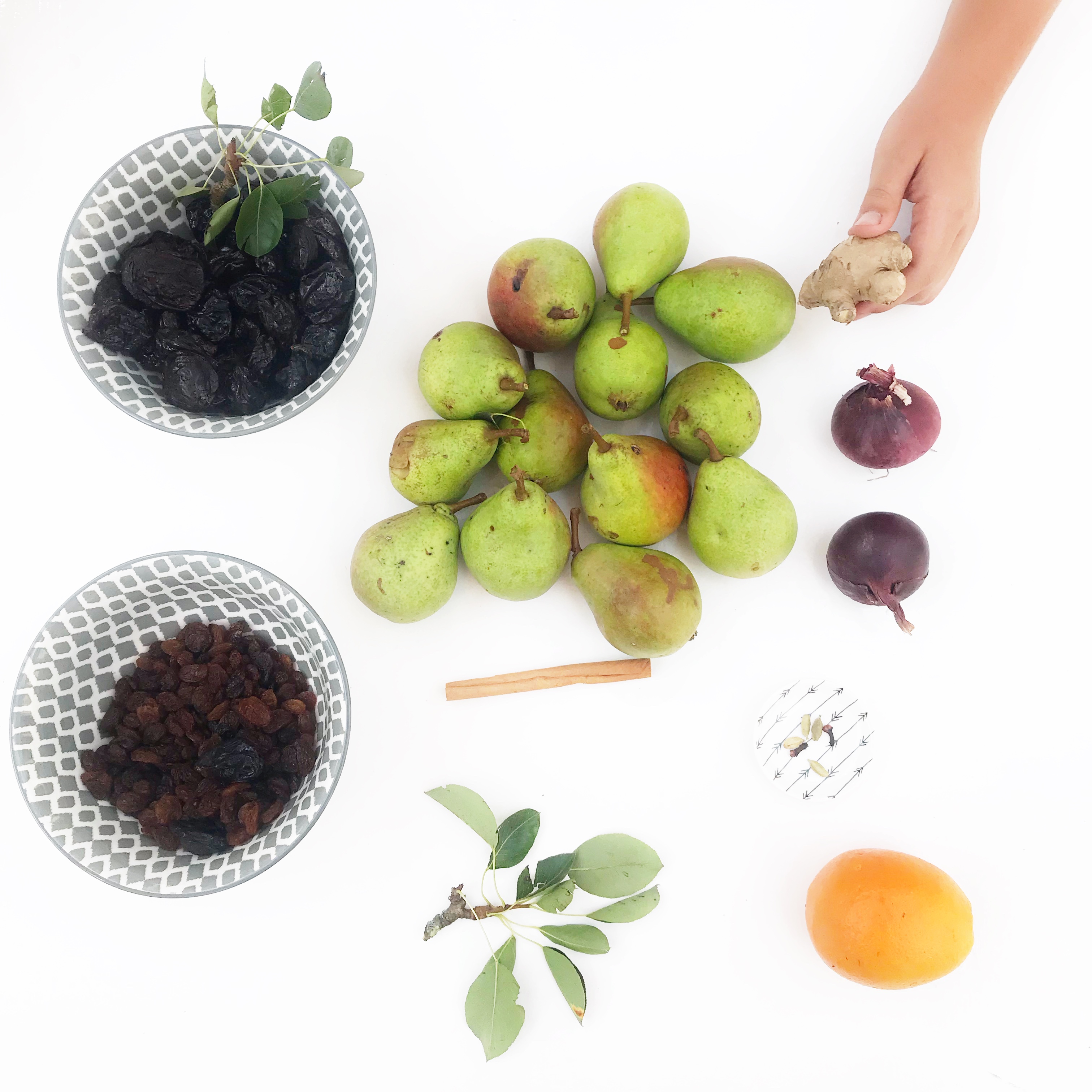 peren-pruimen-chutney