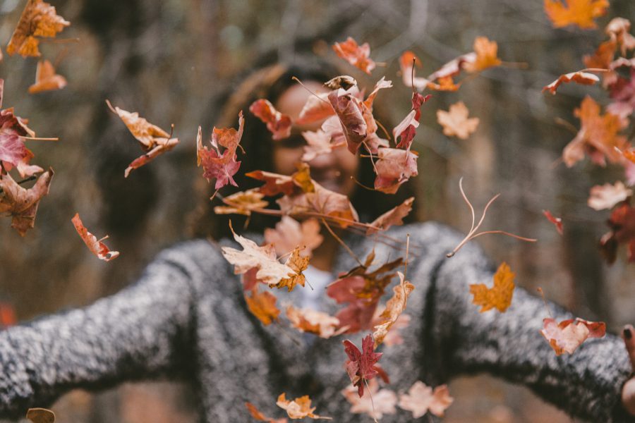 Yoga Moyo - 3 tips om te connecten met de natuur