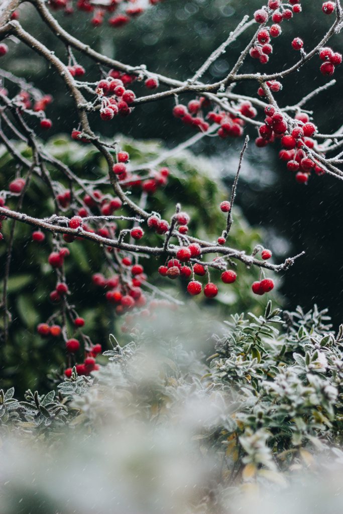 mindful-kerst-vieren