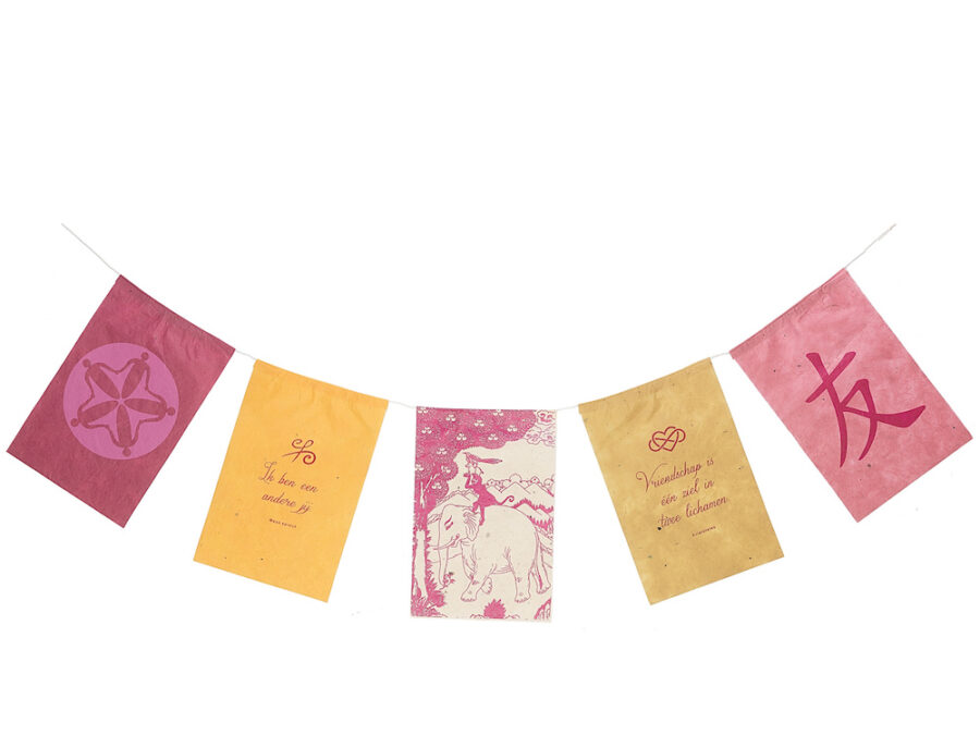 Wensvlaggetjes uit Nepal met Nederlandse tekst gemaakt van fairtrade geschept papier met het thema vriendschap. De wensvlaggetjes zijn als wenskaart te versturen met briefpapier en enveloppe. Er zitten 5 vlaggetjes per slinger en de vlaggetjes zijn 10 bij 15 centimeter groot.