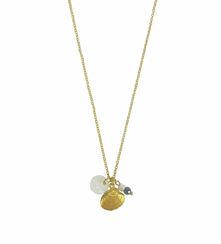 Goudkleurige ketting van Stainless steel met Hematiet, een muntvormige schelp en een extra bedeltje in de vorm van een schelp. De ketting is 50 cm lang