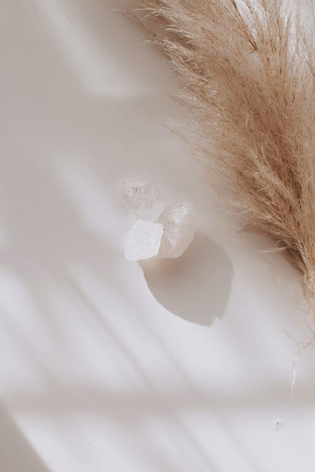 De foto toont een close-up van een witte edelsteen, omringd door enkele pluizige pampagras pluimen. De edelsteen reflecteert het licht. De pampagras pluimen hebben een zachte, witte textuur en geven de foto een luchtige en organische uitstraling.