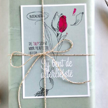 Cadeautje met een kaart en bloemzaden van het label Veer en Moon.