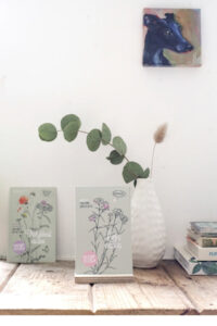 Zakjes met bloemzaden waar je liefs en vrolijkheid aan iemand kunt wensen van het label Veer&Moon. Op het zakje staat een illustratie van een Anjelier en wilde bloemen de bloemen die uit zaadjes komen.