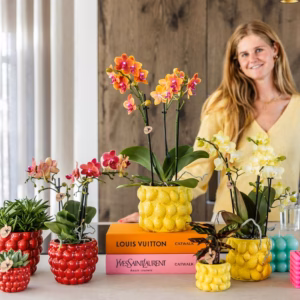 Vrouw bij Gele Keramische Citroen Bloempot en andere sierpotten met orchideeën – stijlvolle interieurdecoratie voor binnen en veranda.