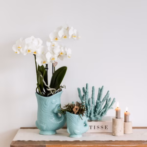 Turquoise vis vaas bloempot op een dressoir, gecombineerd met stijlvolle keramische potten en decoratieve interieuritems voor een sfeervol geheel.