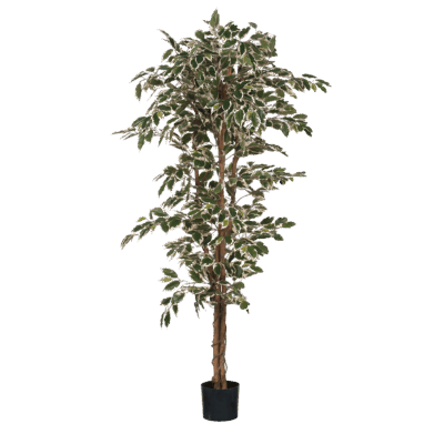 Ficus Kunstplant - H180 x Ø90 cm - Groen Bont