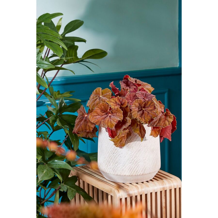 Yonker Plantentafel - Set van 2 - L35 x B25 x H80 cm - Gerecycled Hout - Bruin - Afbeelding 9