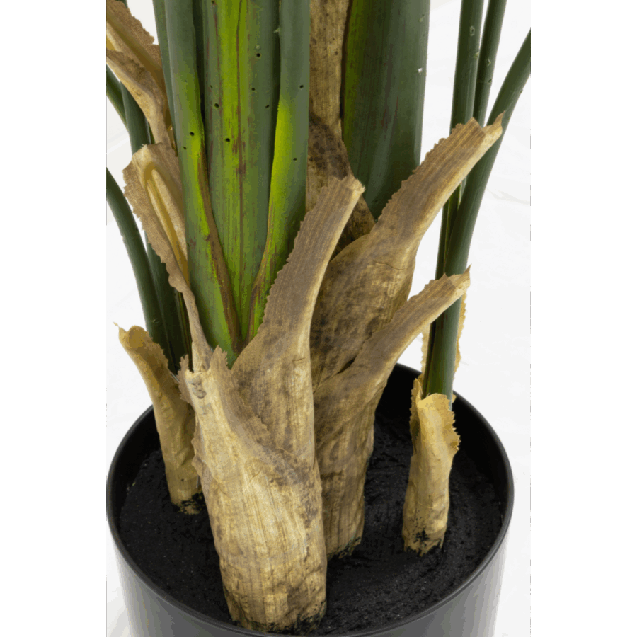 Strelitzia Kunstplant 210cm - Afbeelding 7