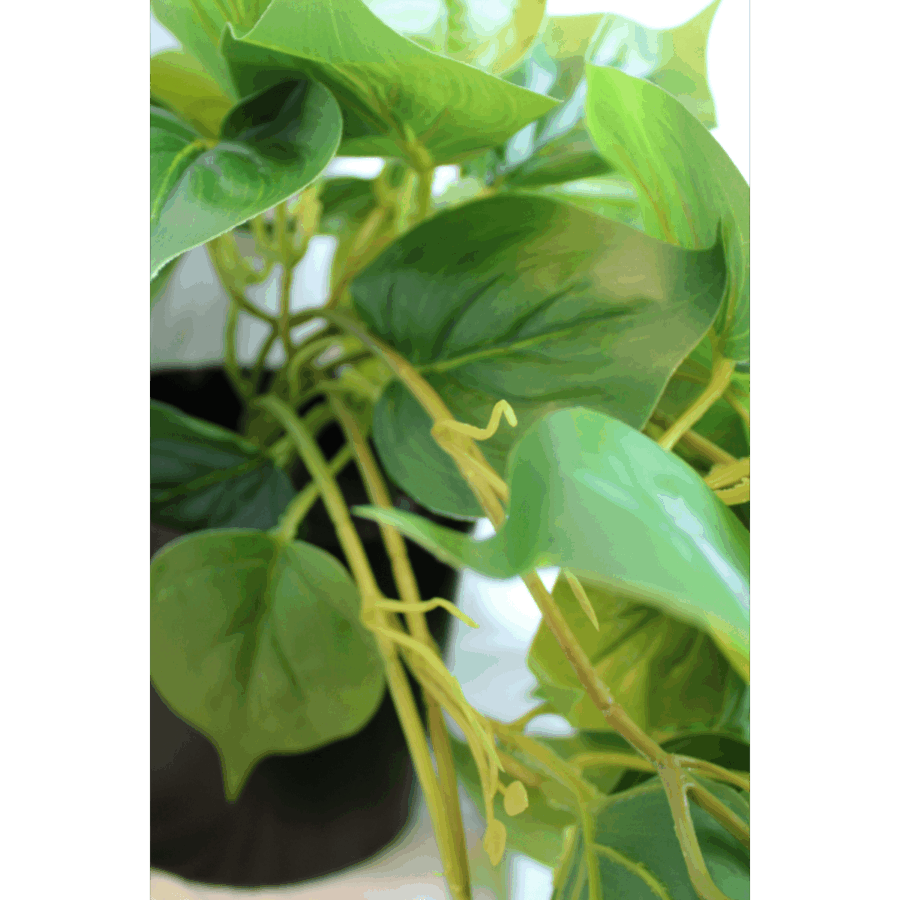 Philodendron Kunst Hangplant 90cm - Afbeelding 5
