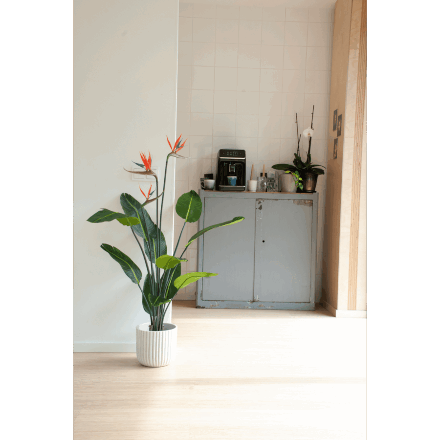 Strelitzia Kunstplant 120cm met bloem - Afbeelding 2