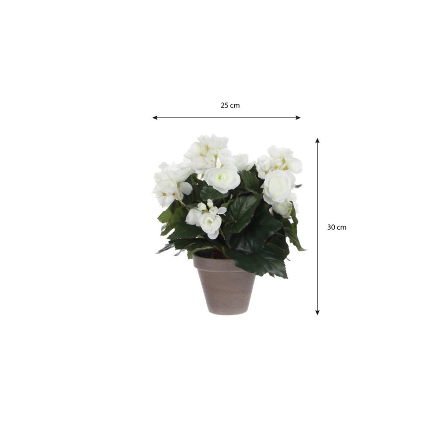 Begonia Kunstplant in Bloempot Stan - H30 x Ø25 cm - Wit - Afbeelding 4