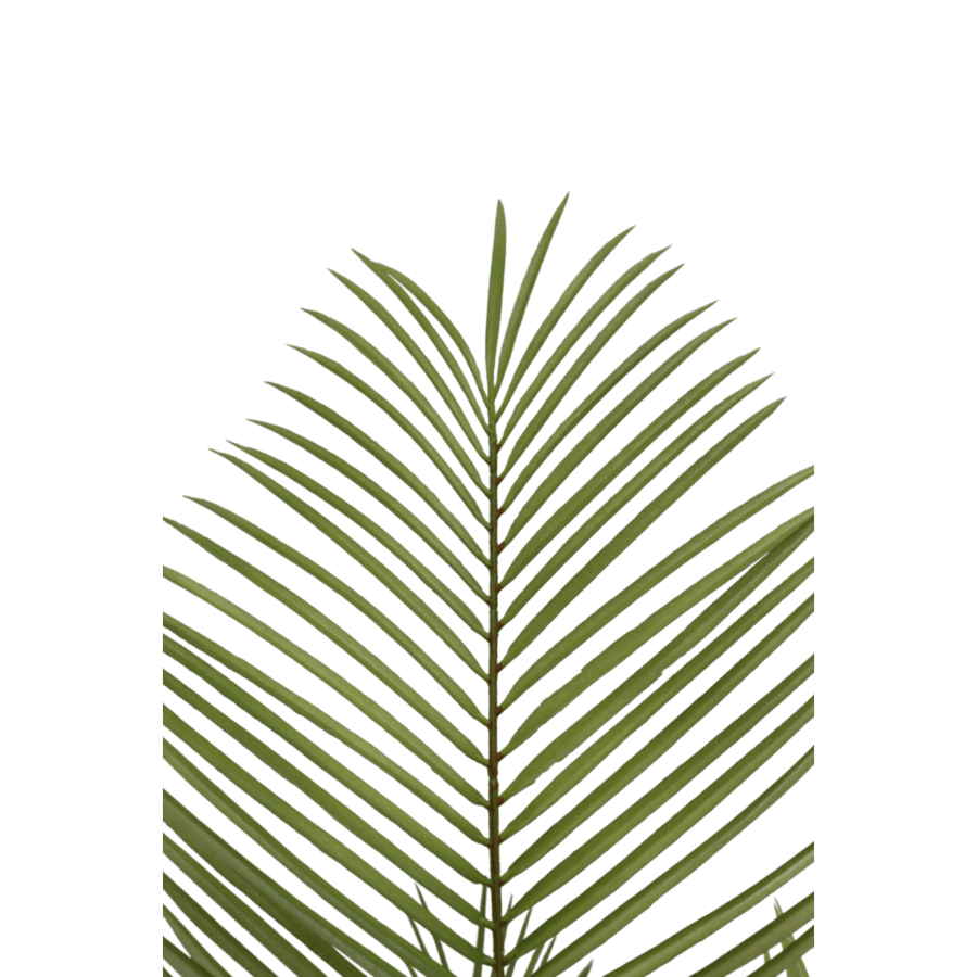 Kunstpalm 150cm - Afbeelding 5