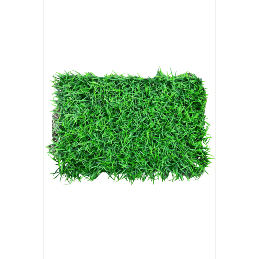 Kunsthaag Gras 60x40cm