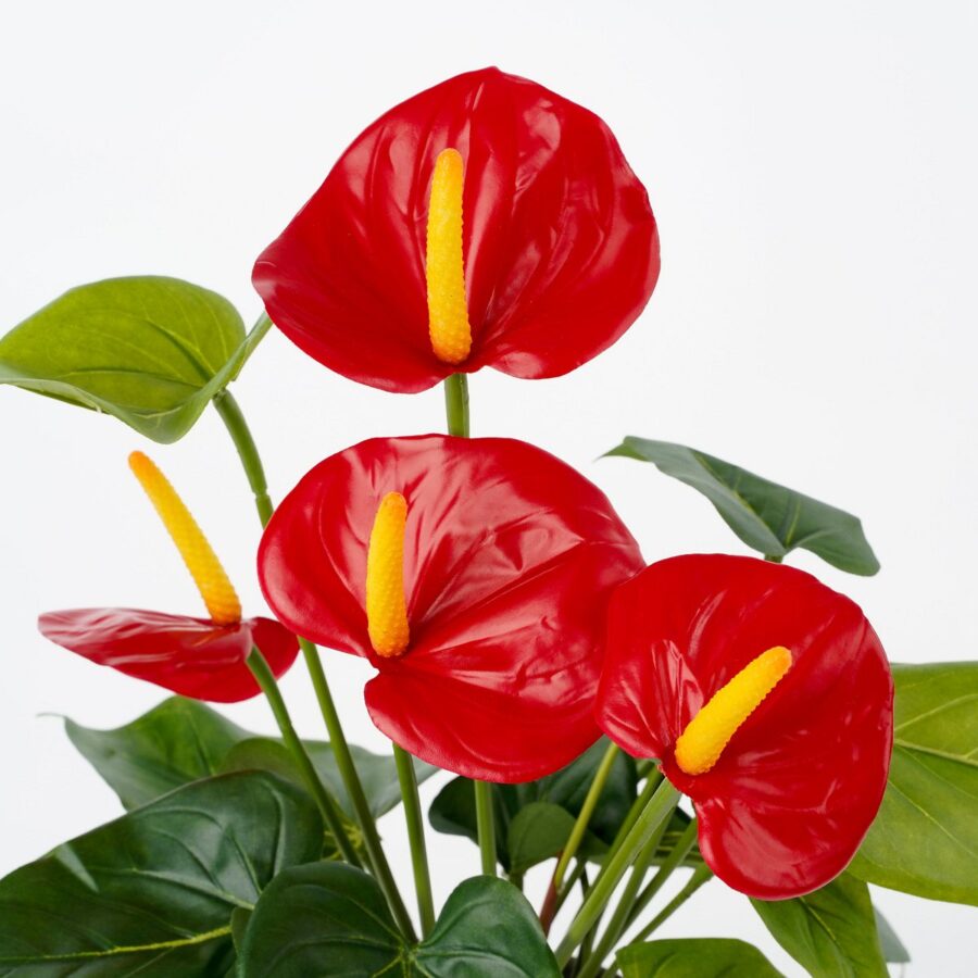 Anthurium Kunstplant in Bloempot Stan - H38 x Ø30 cm - Rood - Afbeelding 2