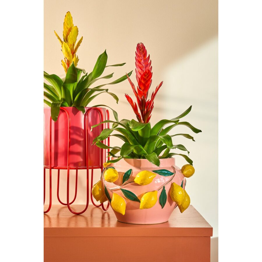 Dione Bloempot op Standaard - Set van 2 - H35 x Ø26 cm - Metaal - Rood, Roze - Afbeelding 5