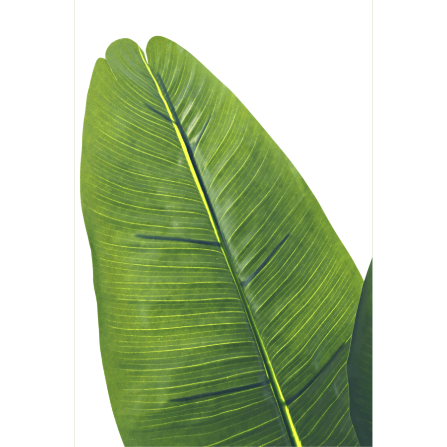 Kunst Bananenplant 120cm - Afbeelding 5