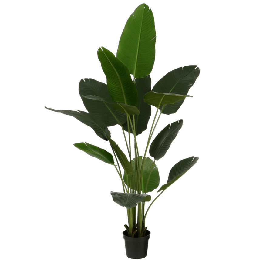 Kunstplant Bananenboom in Pot - H180 x Ø30 cm - Groen
