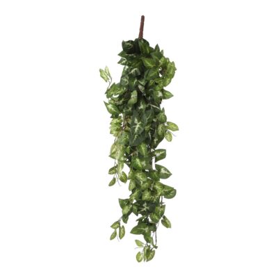 Fittonia Kunst Hangplant - L15 x B30 x H80 cm - Groen