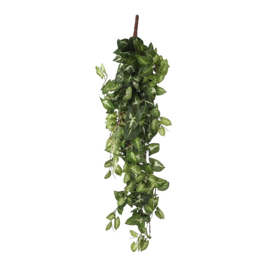 Fittonia Kunst Hangplant - L15 x B30 x H80 cm - Groen
