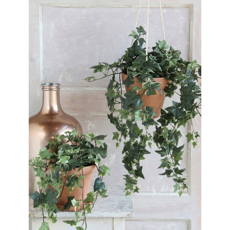 Hedera Kunstplant in Bloempot Stan - H45 x Ø25 cm - Groen Bont - Afbeelding 5