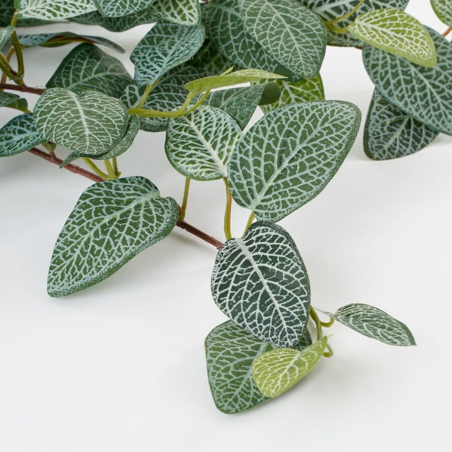 Fittonia Kunst Hangplant - L15 x B20 x H54 cm - Groen - Afbeelding 3