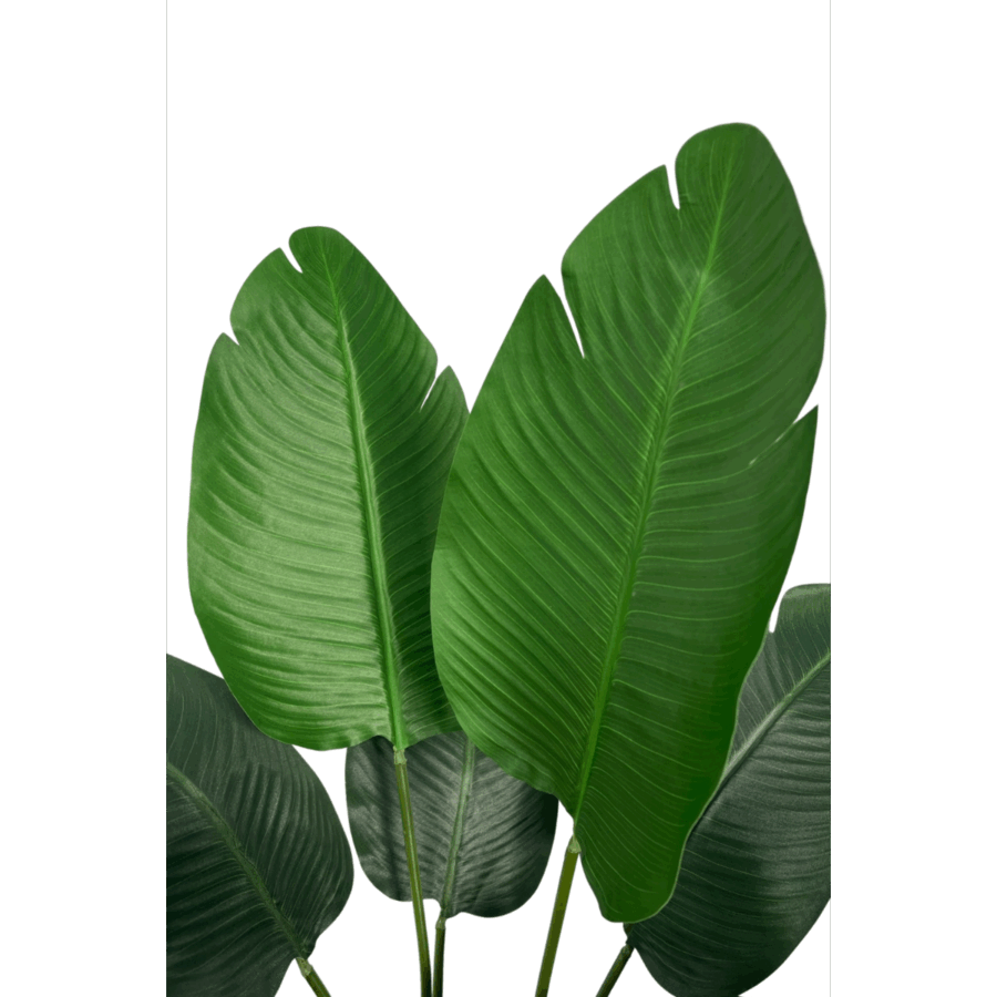 Strelitzia Kunstplant 90cm - Afbeelding 5