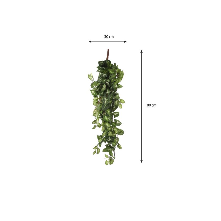 Fittonia Kunst Hangplant - L15 x B30 x H80 cm - Groen - Afbeelding 3