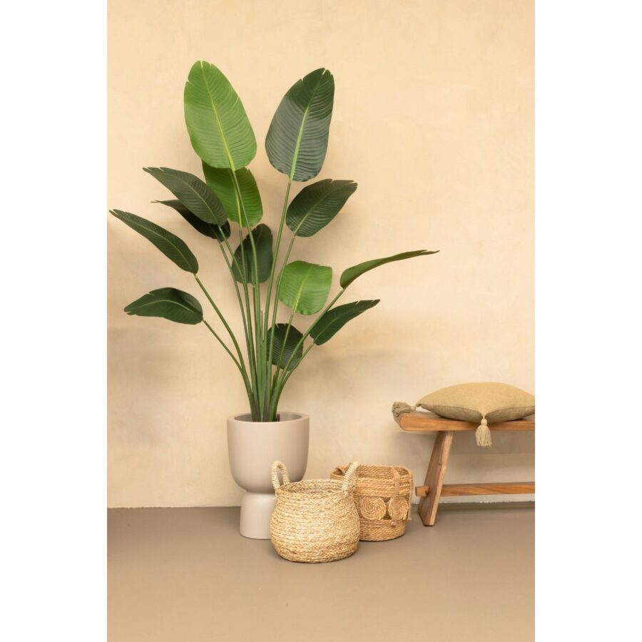 Strelitzia Kunstplant 180cm - Afbeelding 2