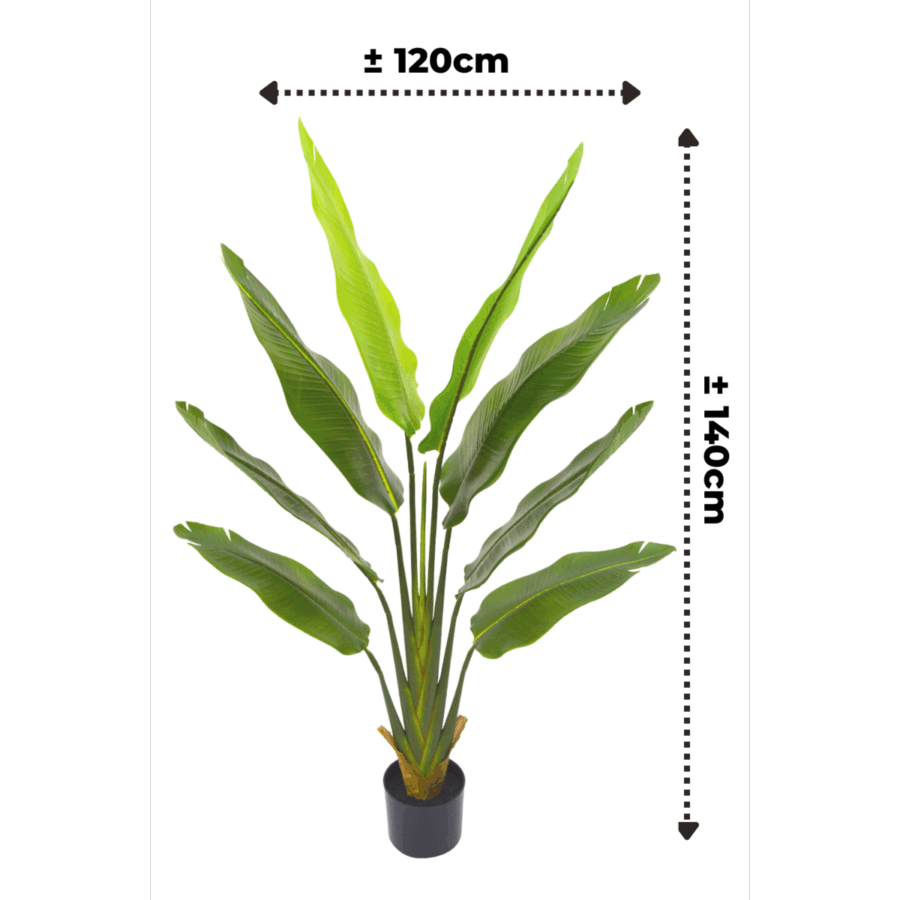 Strelitzia Kunstplant 140cm - Afbeelding 3