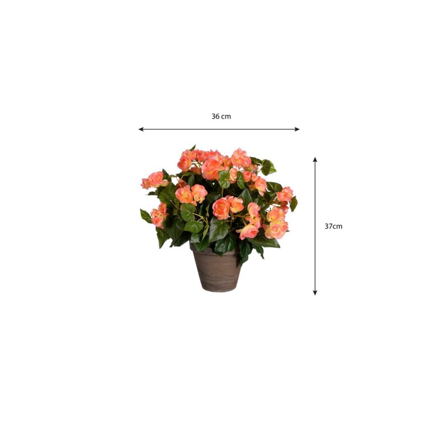 Begonia Kunstplant in Bloempot Stan - H37 x Ø36 cm - Zalmroze - Afbeelding 5