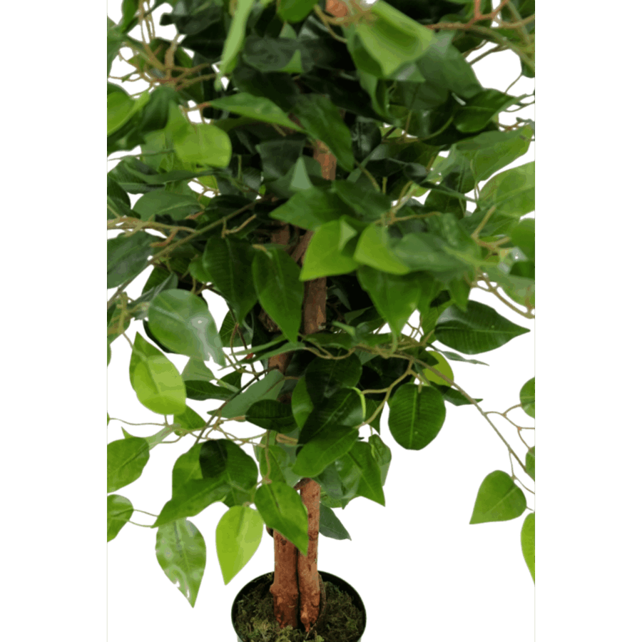 Ficus Kunstboom 90cm - Afbeelding 5