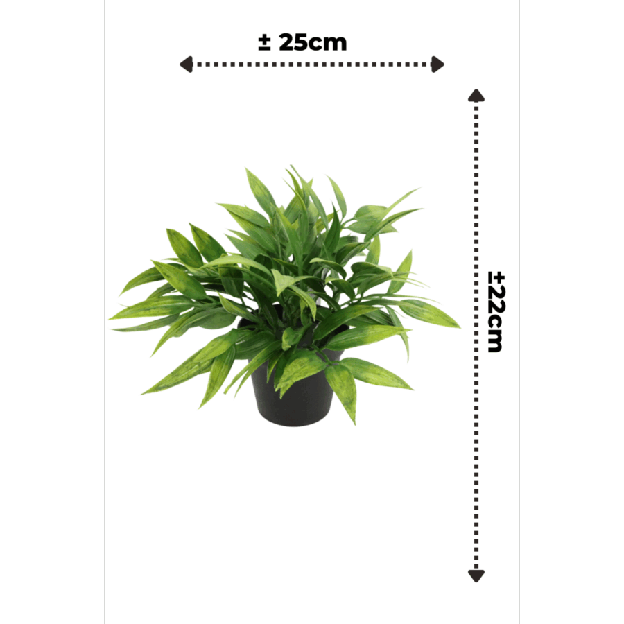 Bamboe Kunstplant 22cm - Afbeelding 3