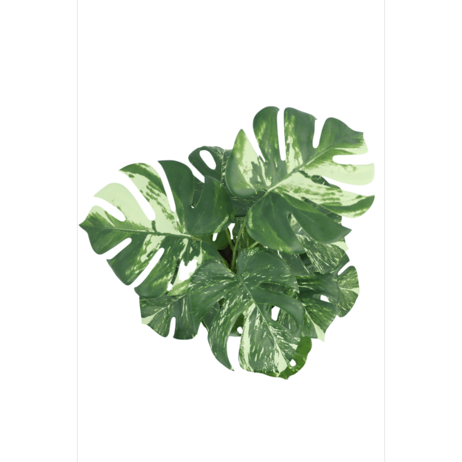 Monstera Kunstplant 40cm - Afbeelding 5