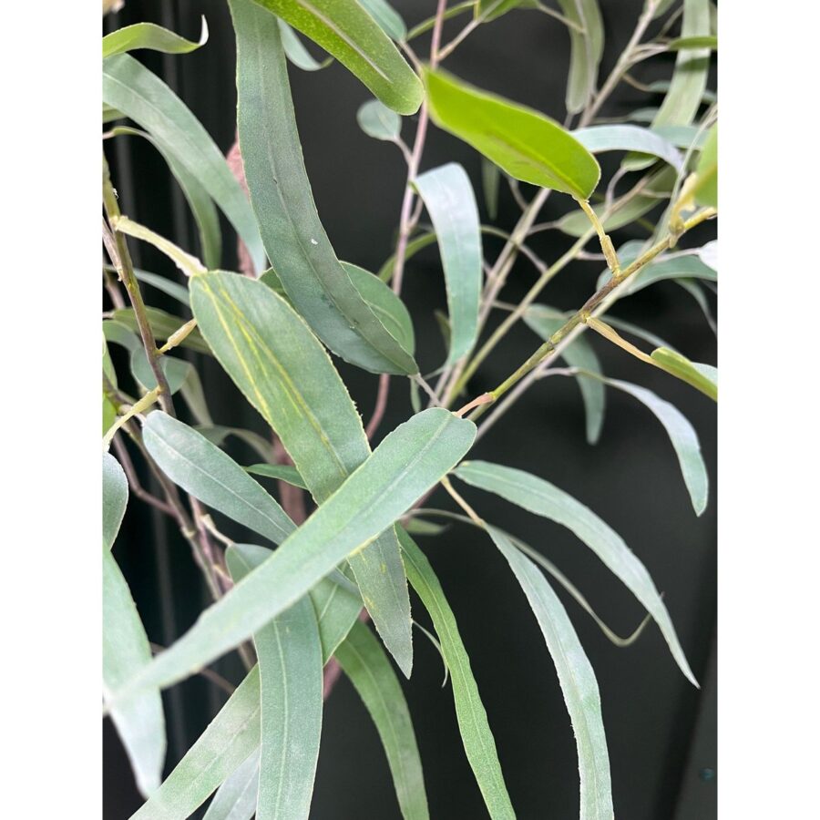 Eucalyptus Kunstplant 175cm - Afbeelding 6