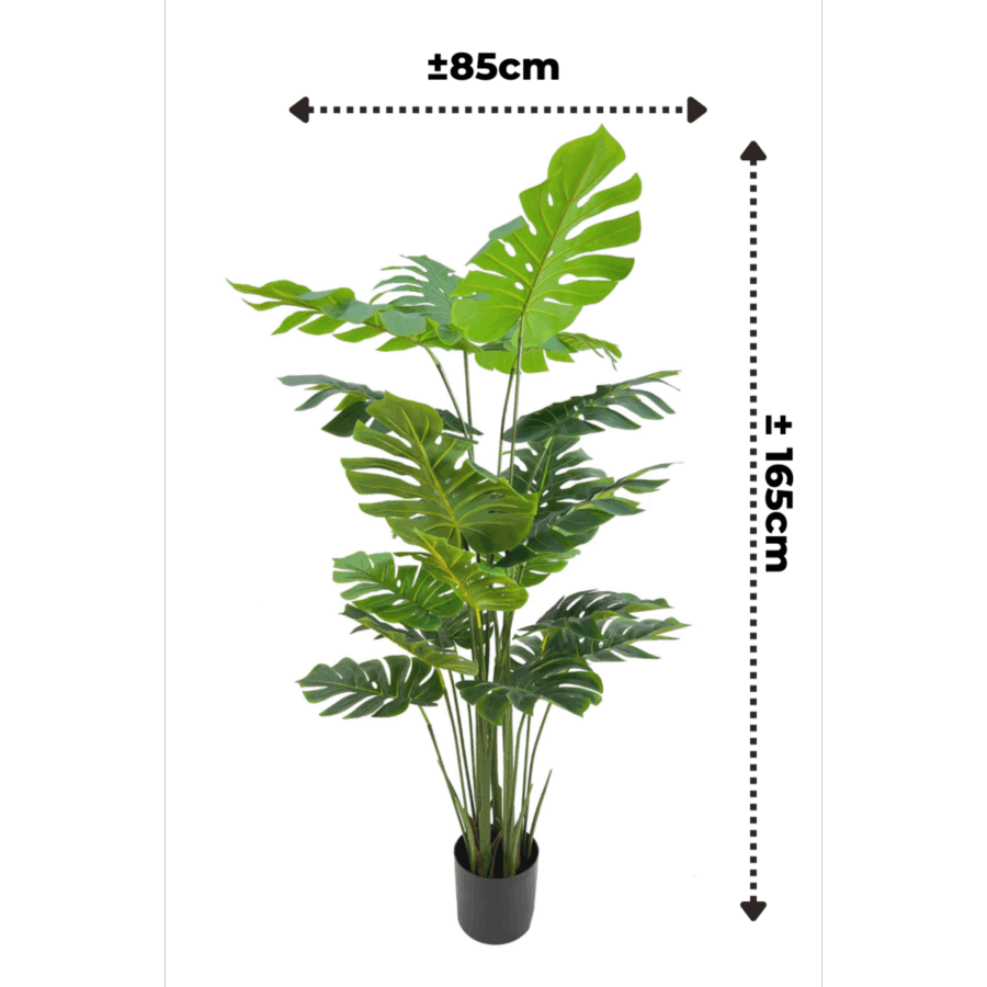 Monstera Kunstplant 165cm - Afbeelding 3