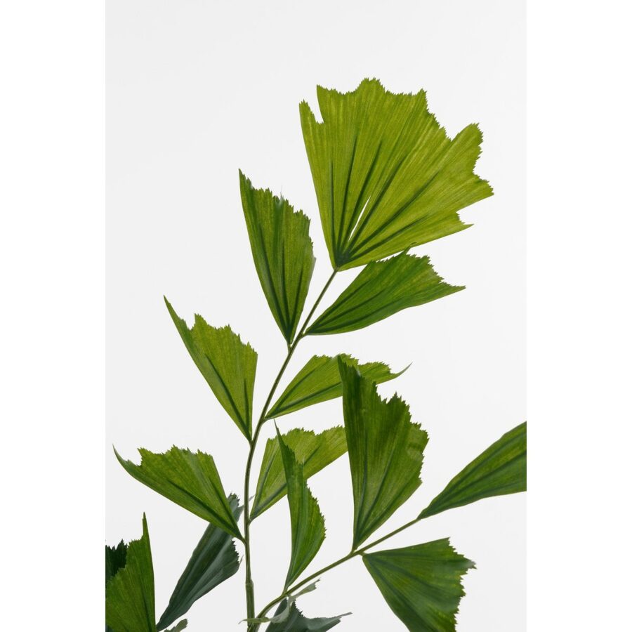Vissenstaart Palm Kunstplant in Pot - H150 x Ø100 cm - Groen - Afbeelding 2