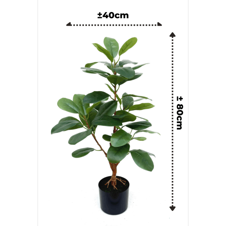 Ficus Kunstplant 80cm - Afbeelding 4
