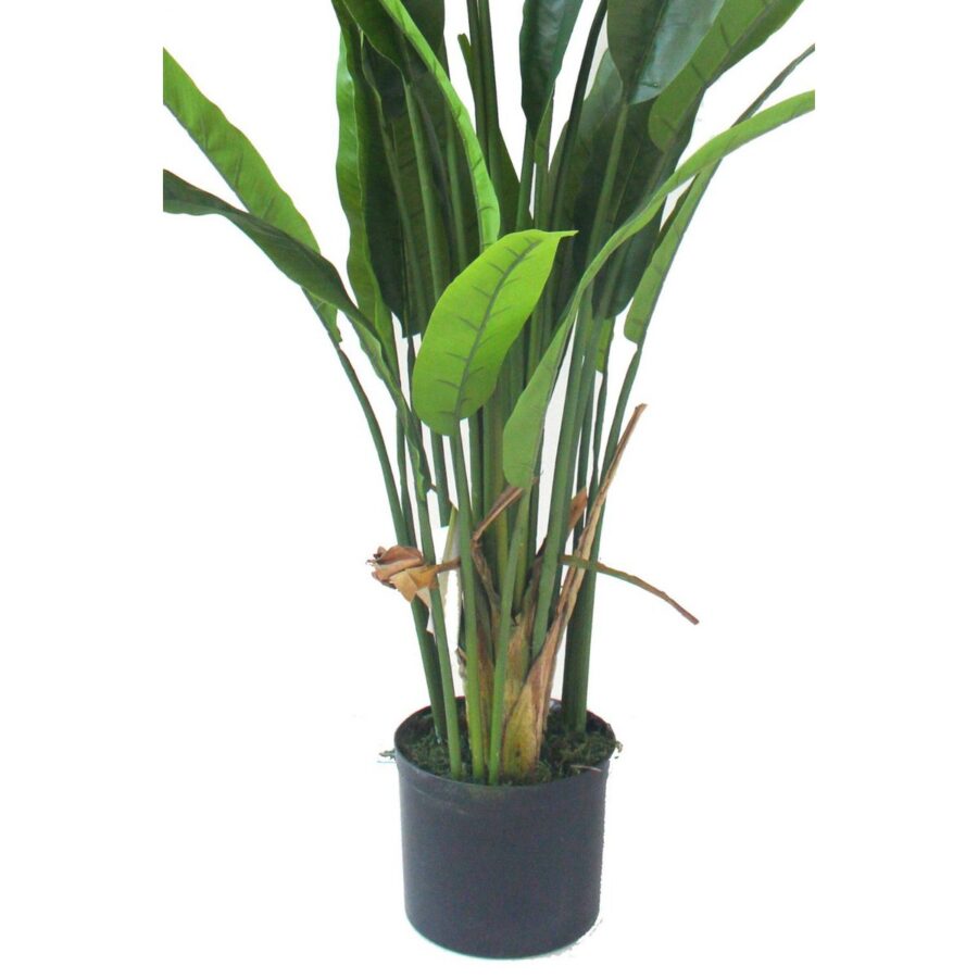 Strelitzia Kunstplant 160cm - Afbeelding 4