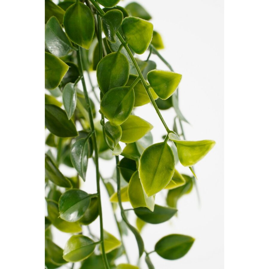 Ficus Kunst Hangplant in Pot - H46 x Ø20 cm - Groen - Afbeelding 3