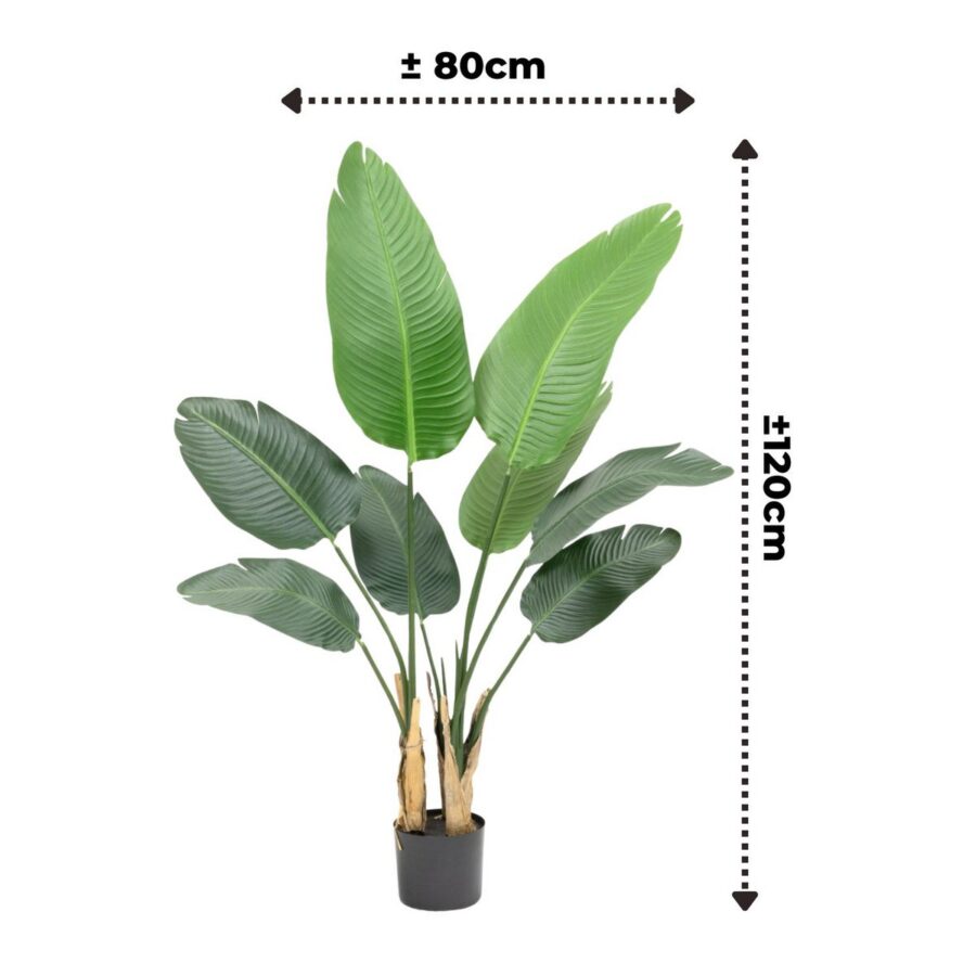 Strelitzia Kunstplant 120cm - Afbeelding 3