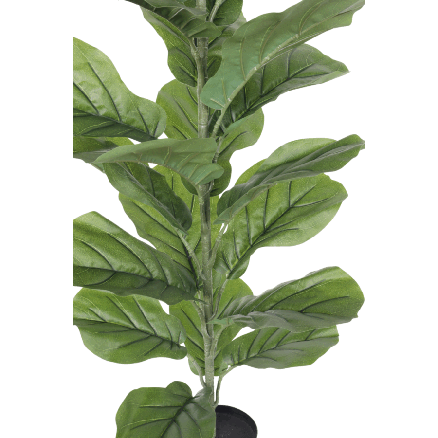 Ficus Kunstplant 100cm - Afbeelding 5