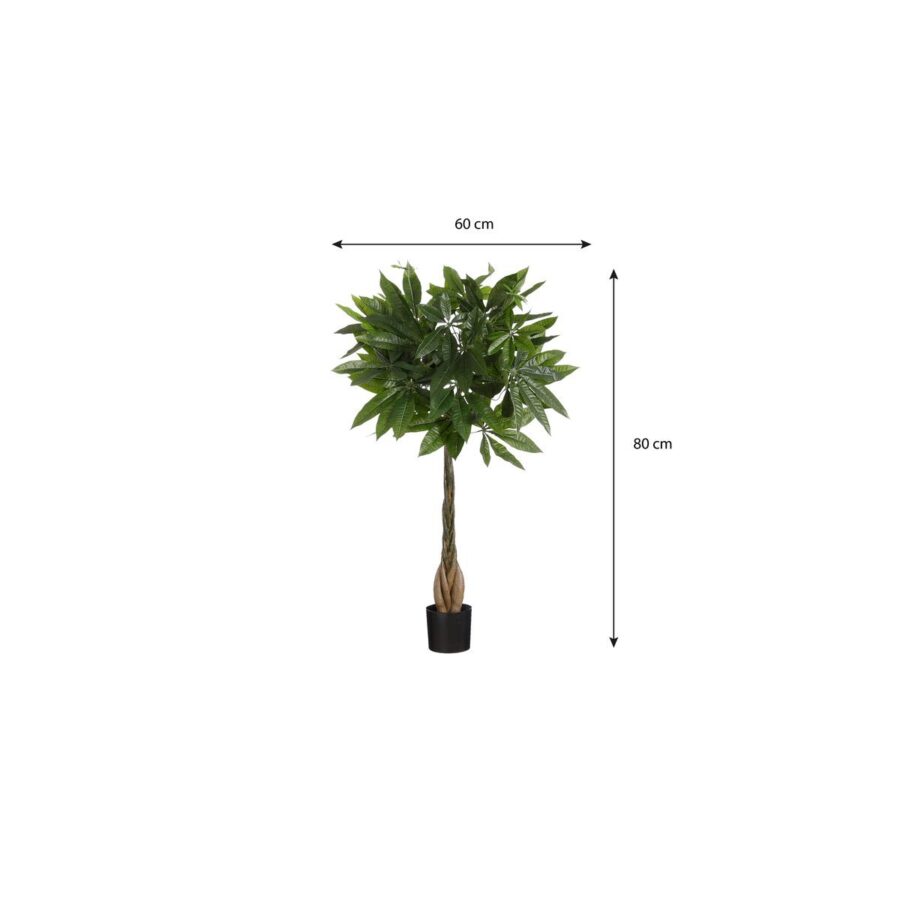 Pachira Kunstplant - H80 x Ø60 cm - Groen - Afbeelding 6