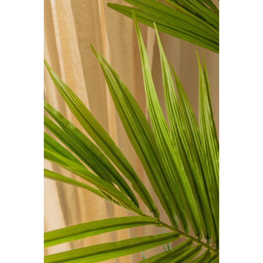 Kentia Kunstpalm 180cm - Afbeelding 4