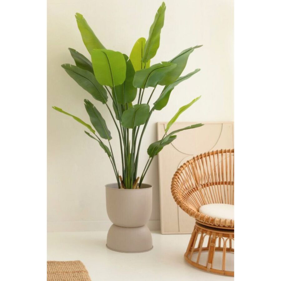 Strelitzia Kunstplant 180cm - Afbeelding 3