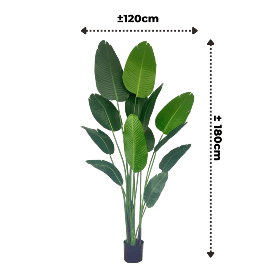 Strelitzia Kunstplant 180cm - Afbeelding 4
