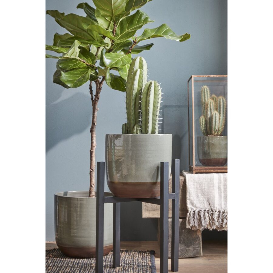 Ascot Plantenstandaard XL - L42 x B42 x H50 cm - Metaal - Zwart - Afbeelding 7