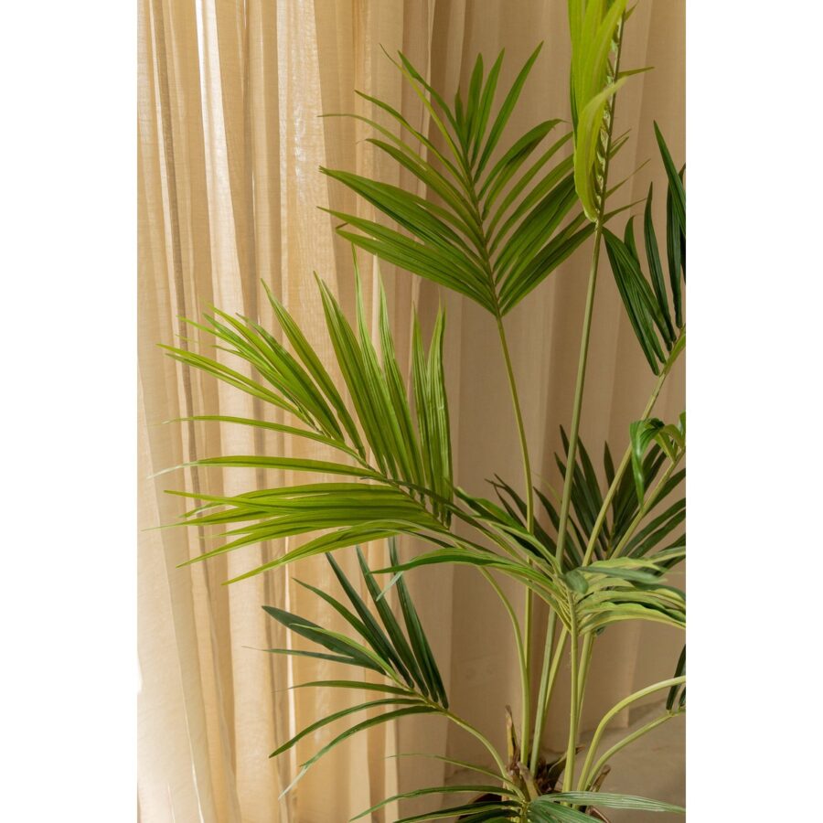 Kentia Kunstpalm 180cm - Afbeelding 6