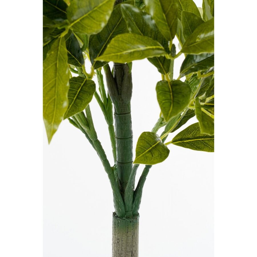 Laurierboom Kunstplant - H120 x Ø40 cm - Groen - Afbeelding 3