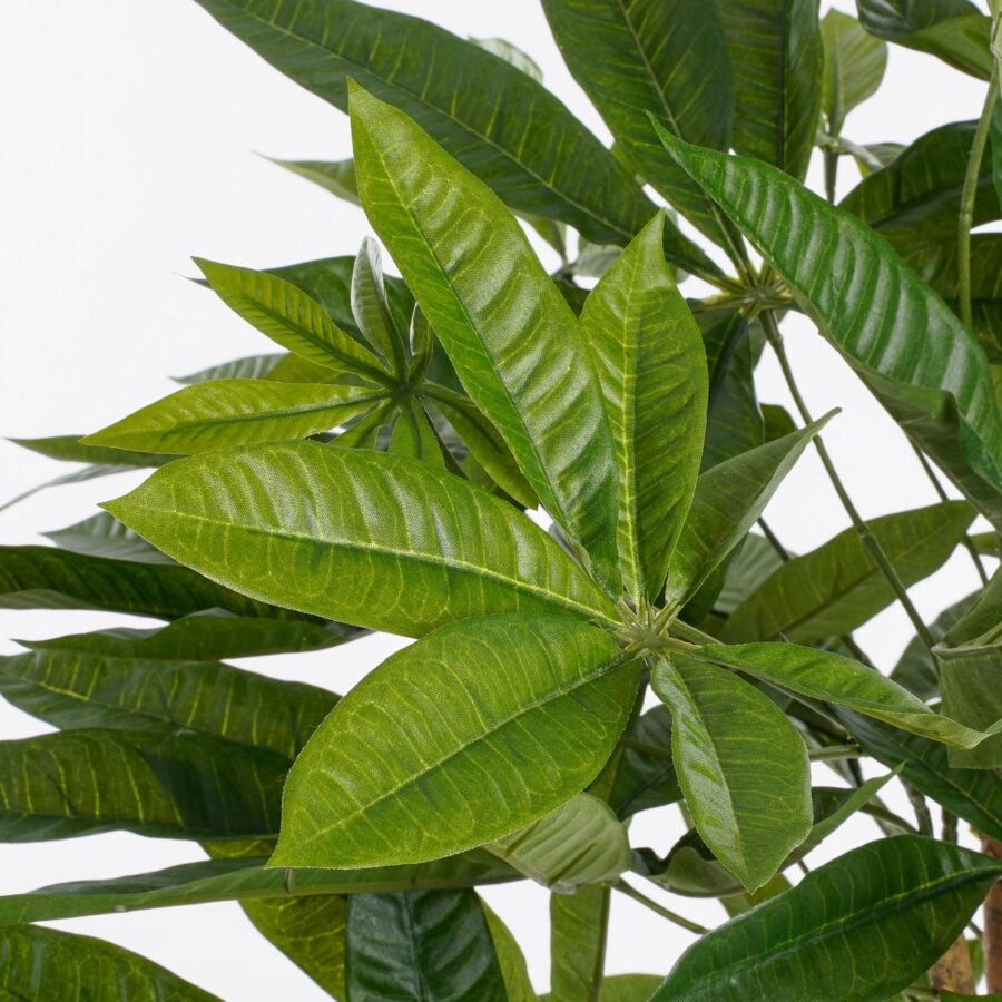 Pachira Kunstplant - H80 x Ø60 cm - Groen - Afbeelding 3